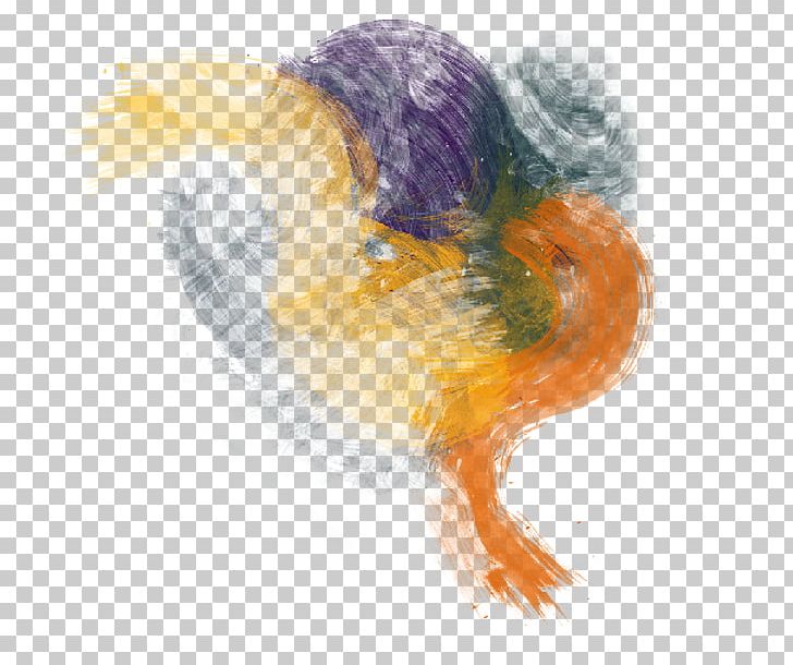 Painting Feather PNG, Clipart, Art, Feather, Painting Free PNG Download
