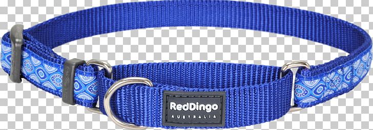 Dog Collar Dingo Martingale PNG, Clipart, Anjing Jepun, Blue, Buckle, Choker, Cobalt Blue Free PNG Download