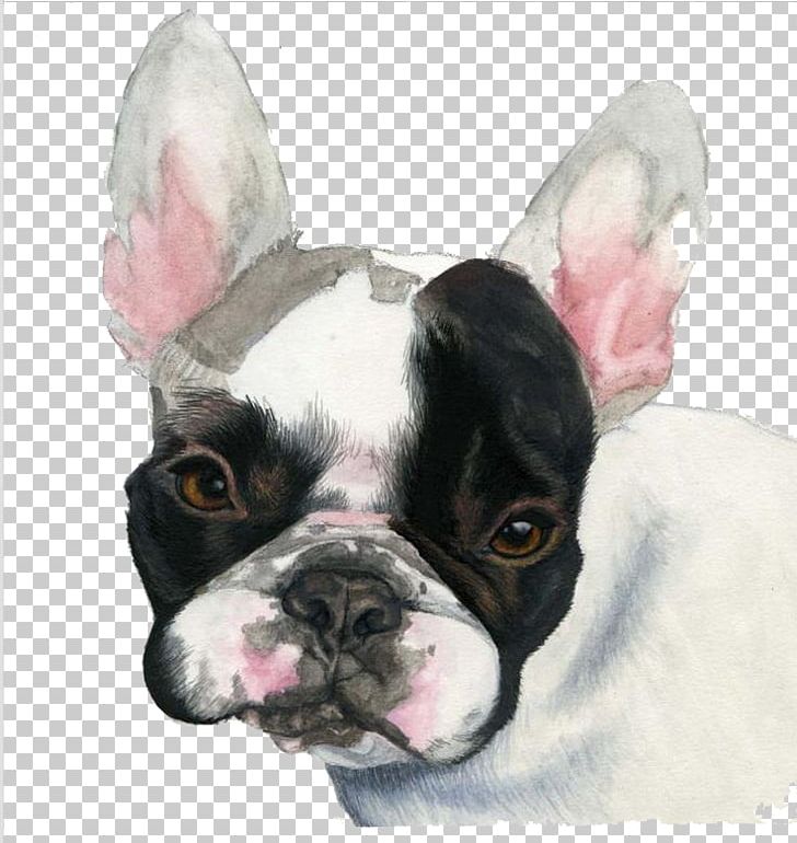 French Bulldog Puppy Watercolor Painting PNG, Clipart, Animal, Animals, Artist, Black, Black Hair Free PNG Download
