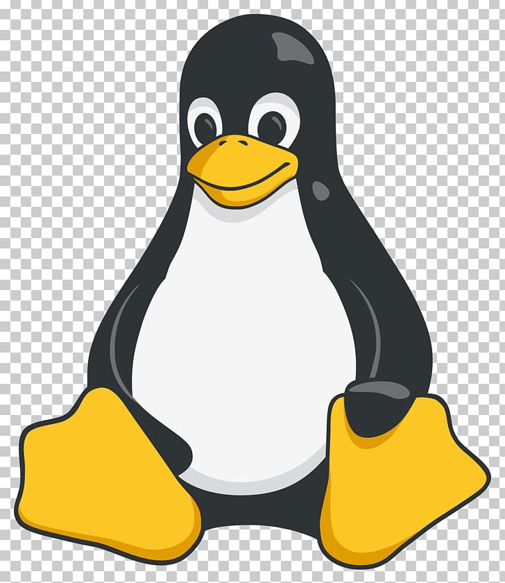 Tux Racer Red Hat Enterprise Linux PNG, Clipart, Beak, Bird, Computer Icons, Flat, Flightless Bird Free PNG Download