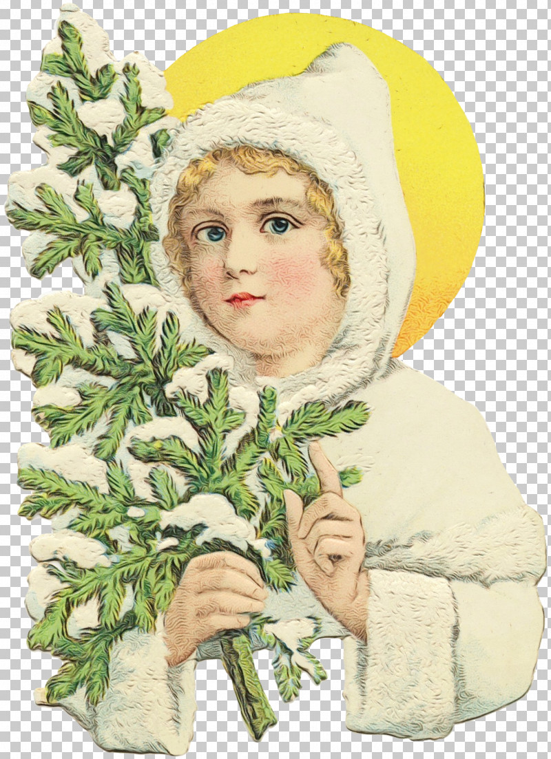 Holly PNG, Clipart, Child, Flower, Holly, Paint, Plant Free PNG Download