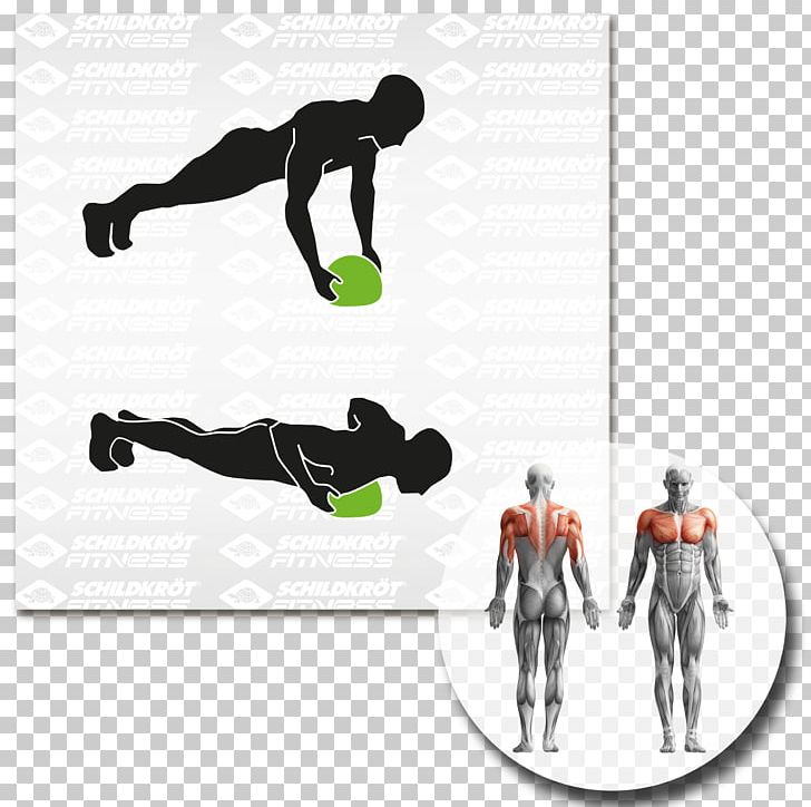 Abdominal Exercise Fitness Centre Torso Rectus Abdominis Muscle PNG, Clipart, Abdomen, Abdominal Exercise, Anatomy, Arm, Crunch Free PNG Download