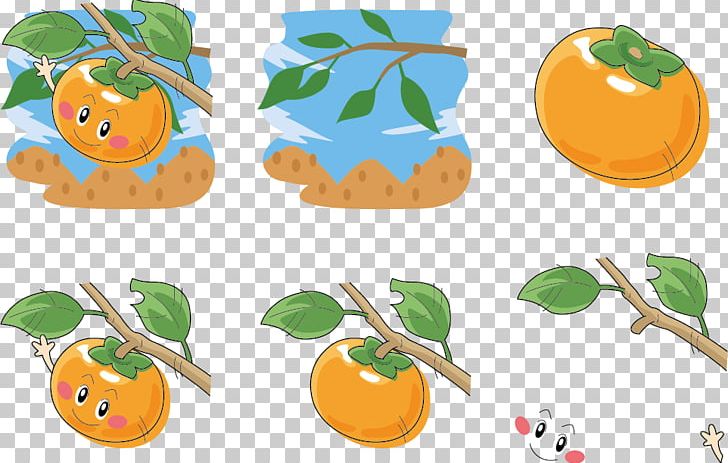 Persimmon Tree Expression PNG, Clipart, Auglis, Autumn Tree, Branch, Cartoon, Clip Art Free PNG Download