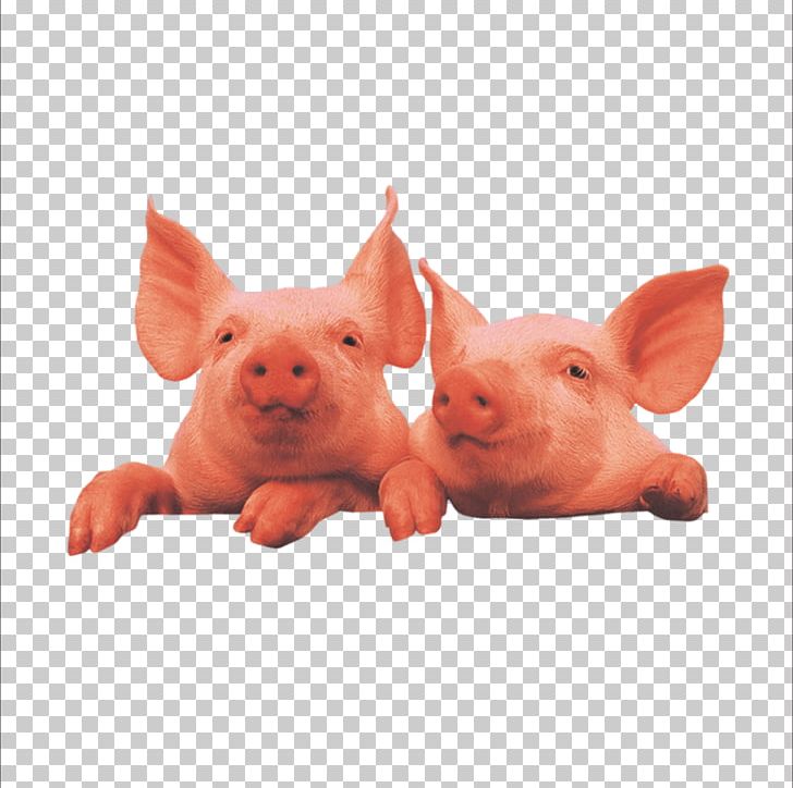 Domestic Pig Livestock PNG, Clipart, Animals, Domestic, Encapsulated Postscript, Euclidean Vector, Fat Pig Free PNG Download