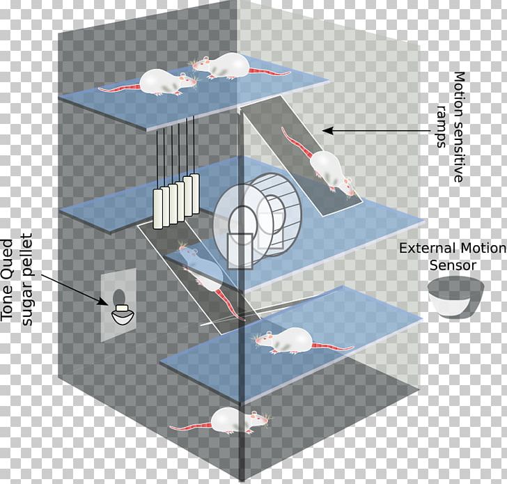 Environmental Enrichment Diagram Computer PNG, Clipart, Angle, Art, Computer, Diagram, Donald O Hebb Free PNG Download