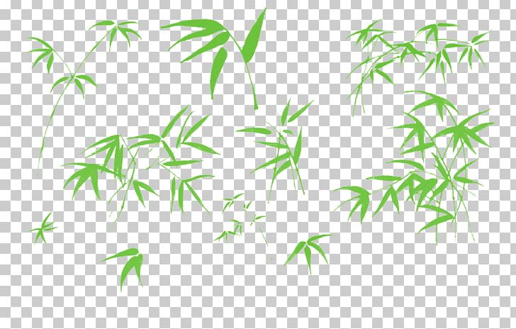 Bamboo Illustration PNG, Clipart, Bamboe, Bamboo Leaves, Banana Leaves, Branch, Computer Icons Free PNG Download
