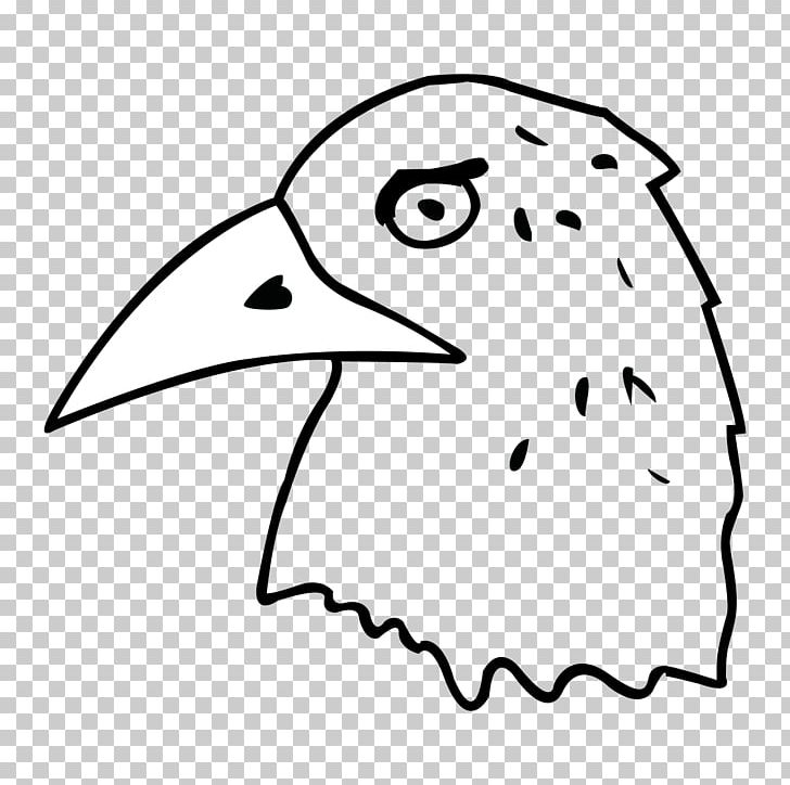 Beak Drawing Nose Line Art PNG, Clipart, Area, Art, Artwork, Beak, Bird Free PNG Download