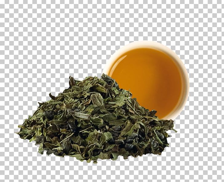 Green Tea Gunpowder Tea Tieguanyin Nilgiri Tea PNG, Clipart, Assam Tea, Bai Mudan, Bancha, Biluochun, Camellia Sinensis Free PNG Download