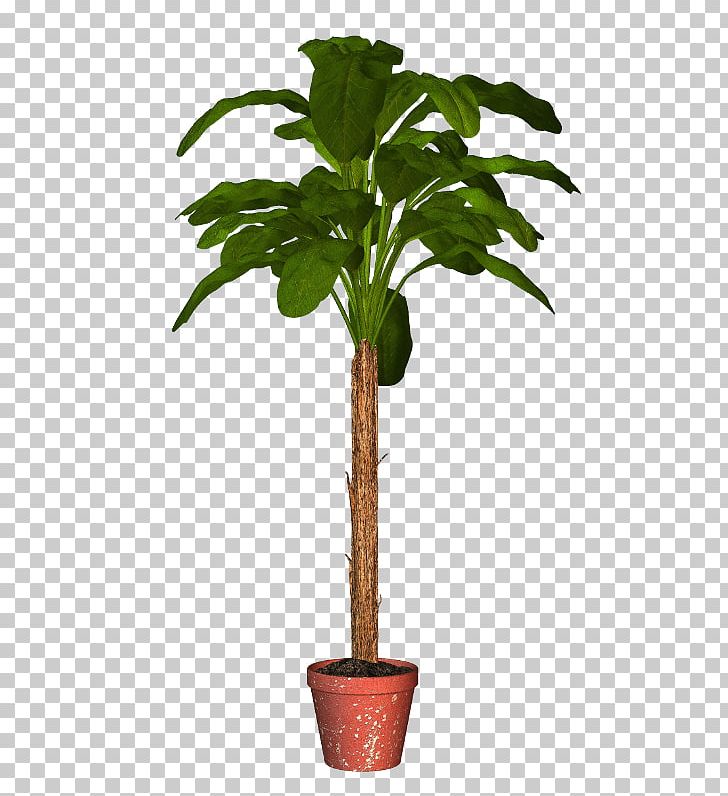 Palm Trees Flowerpot Houseplant Plants PNG, Clipart, Arecales, Crock, Evergreen, Flower, Flowerpot Free PNG Download