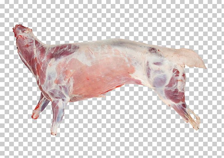 Sheep Lamb And Mutton Goat Halal Meat PNG, Clipart, Beef, Chicken Meat, Dog Like Mammal, Food, Food Drinks Free PNG Download