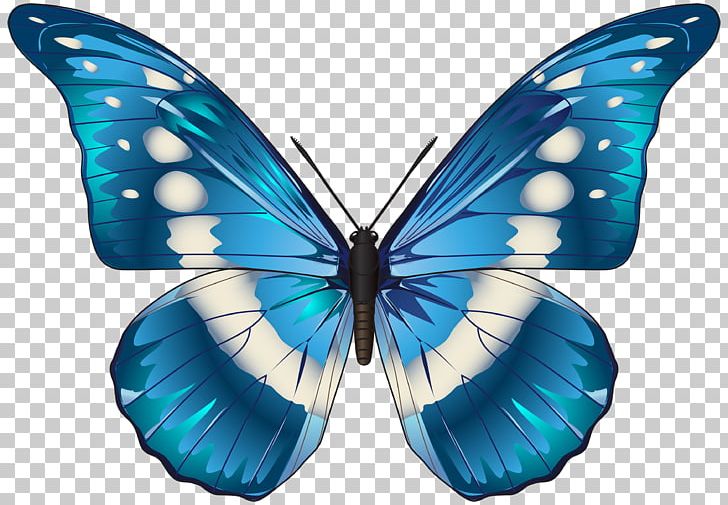 Butterfly Morpho Menelaus Blue PNG, Clipart, Animal, Arthropod, Blue, Brush Footed Butterfly, Butterflies And Moths Free PNG Download