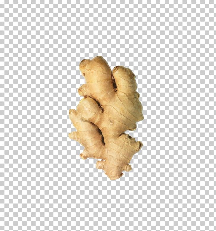 Ginger Condiment Allium Fistulosum PNG, Clipart, Brassica Oleracea, Cosmetics, Essential Oil, Food, Food Drinks Free PNG Download