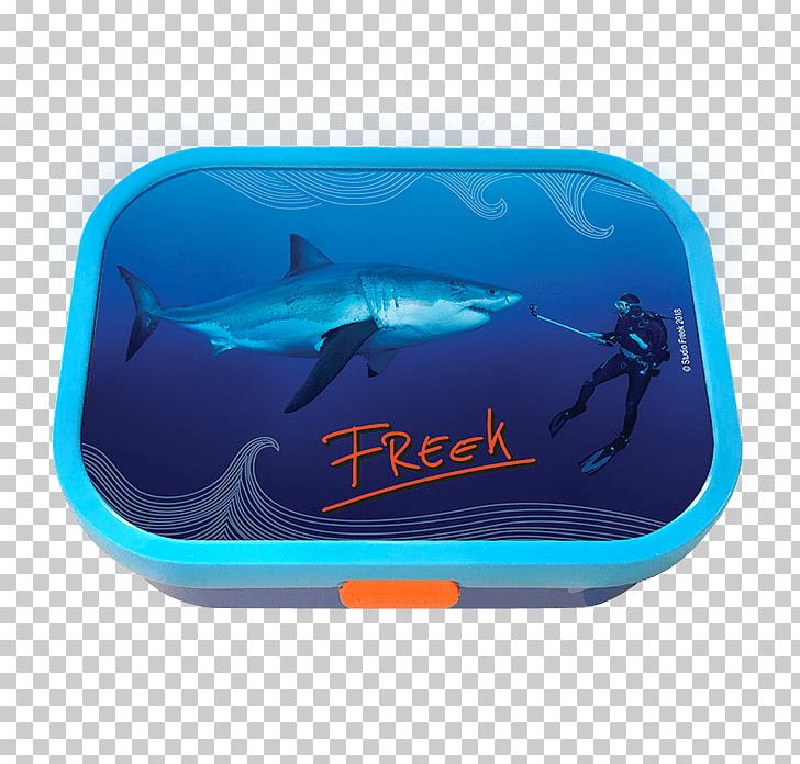 Shark Lunchbox Broodtrommel Mug PNG, Clipart, Animals, Aqua, Biology, Broodtrommel, Cartilaginous Fish Free PNG Download