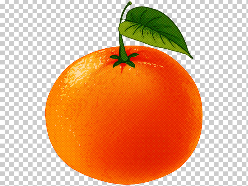 Orange PNG, Clipart, Citrus, Clementine, Food, Fruit, Grapefruit Free PNG Download