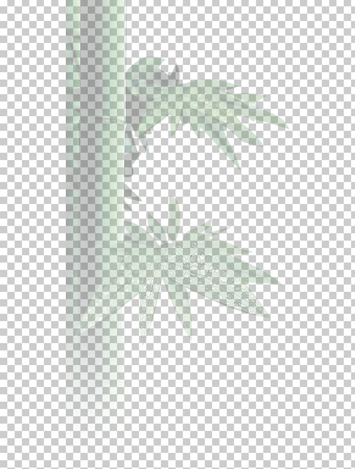 Angle Teal Fxe9lix Alberto Beltrxe1n Concepcixf3n Pattern PNG, Clipart, Angle, Bamboo, Bamboo Border, Bamboo Frame, Bamboo House Free PNG Download