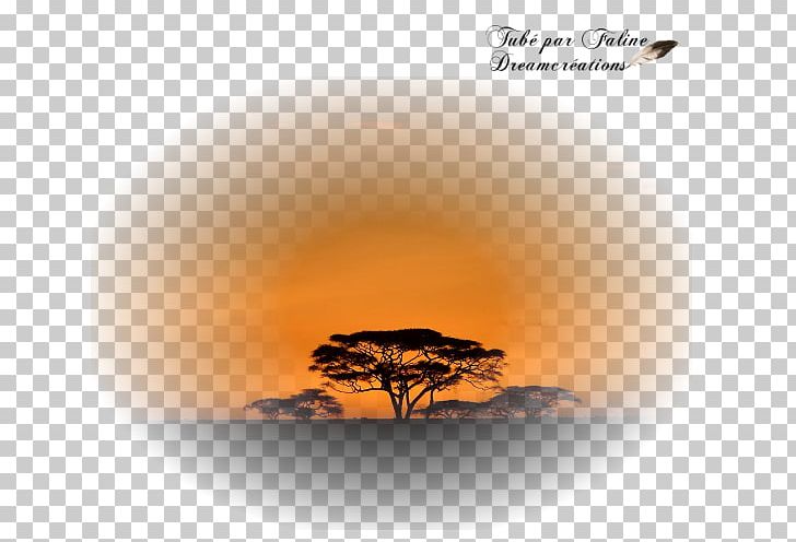 Création Graphique Savana Faline Desktop PSP PNG, Clipart, Africa, Book, Computer, Computer Wallpaper, Desktop Wallpaper Free PNG Download