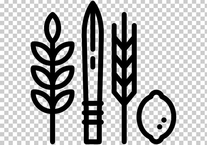 Judaism Challah Jewish People Religion Computer Icons PNG, Clipart, Black And White, Challah, Christianity, Computer Icons, Four Species Free PNG Download