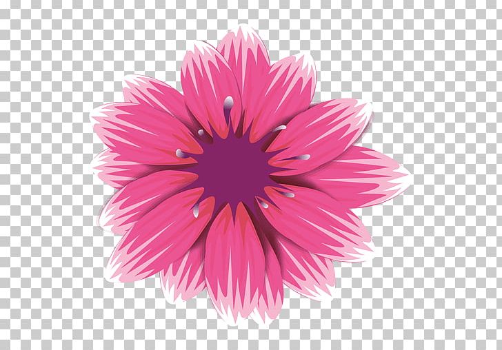 Flower Pink Transvaal Daisy Petal Rose PNG, Clipart, Aster, Chrysanths, Color, Cut Flowers, Dahlia Free PNG Download