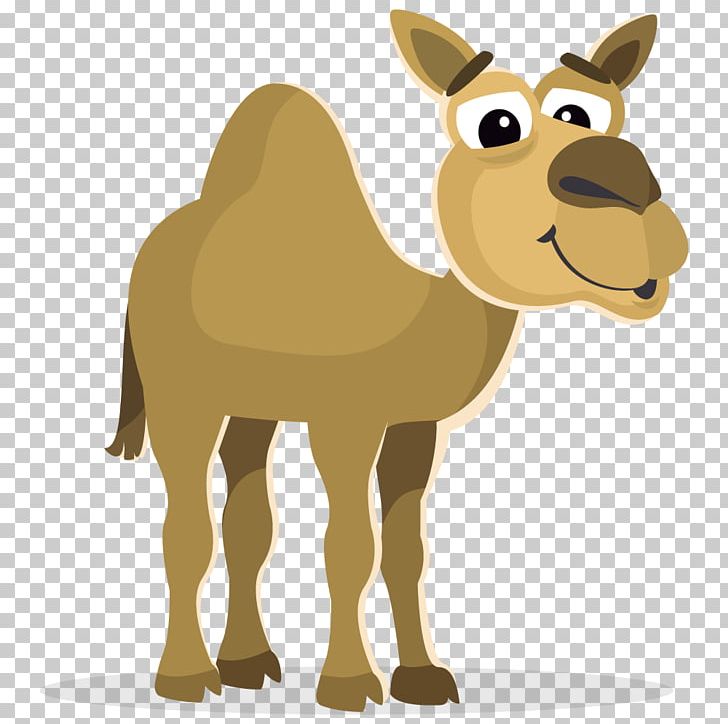 Bactrian Camel PNG, Clipart, Bactrian Camel, Buff Cratoon Camel, Camel, Camel Like Mammal, Cartoon Free PNG Download