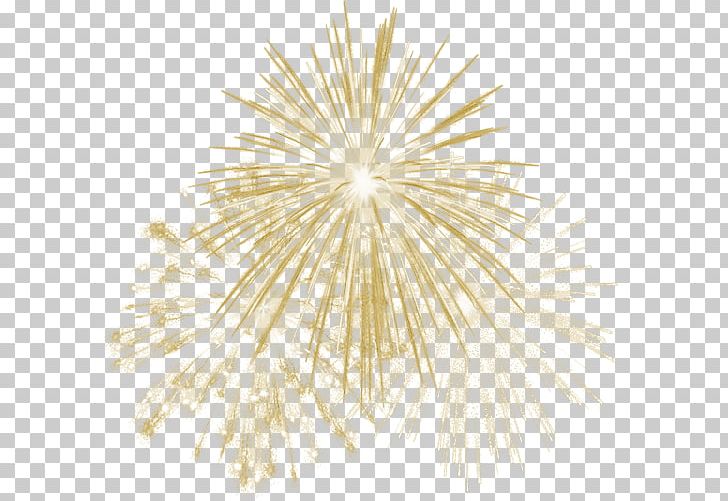 Fireworks Animation PNG, Clipart, Animation, Clip Art, Computer Icons, Display Resolution, Download Free PNG Download