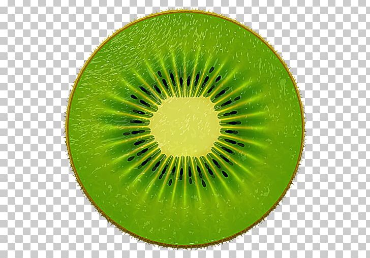 Graphics Stock Illustration Kiwifruit PNG, Clipart, Circle, Drawing, Fruit, Green, Illustrator Free PNG Download