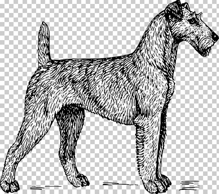 Irish Terrier Scottish Terrier Bull Terrier Sealyham Terrier PNG, Clipart, Black And White, Bull Terrier, Canidae, Carnivoran, Computer Icons Free PNG Download