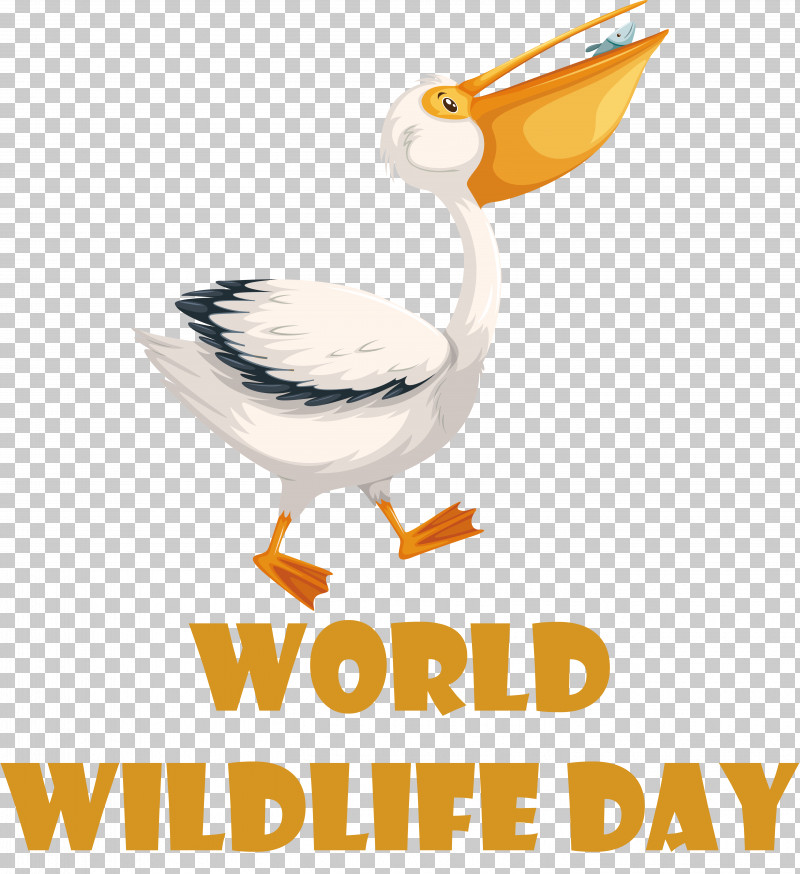 Birds Seabird Ducks Beak Text PNG, Clipart, Beak, Biology, Birds, Cuteness, Ducks Free PNG Download