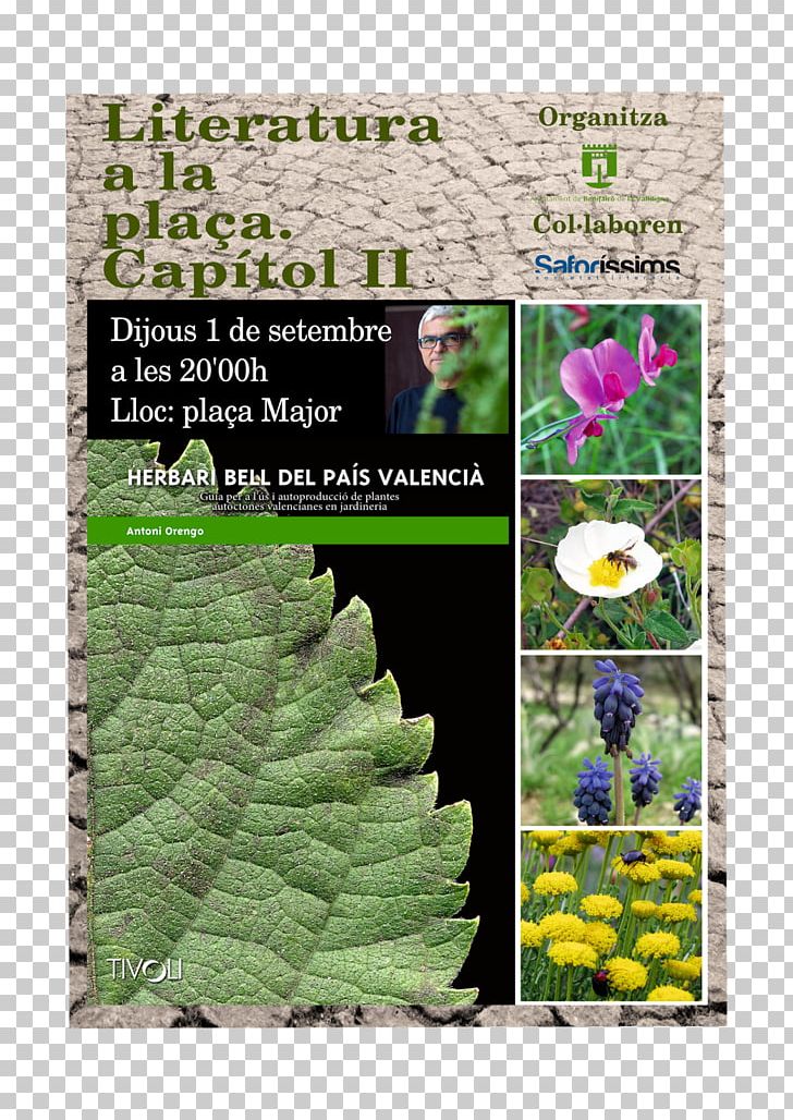 Leaf Herb Tree PNG, Clipart, Flora, Grass, Herb, Leaf, Plant Free PNG Download