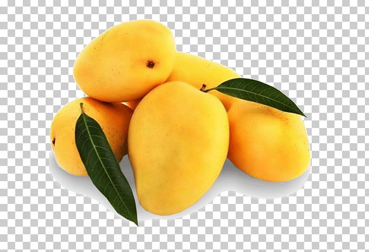 Mango Lucknow Fruit Alphonso Juice PNG, Clipart, Apricot, Bitter Orange, Citron, Citrus, Company Free PNG Download