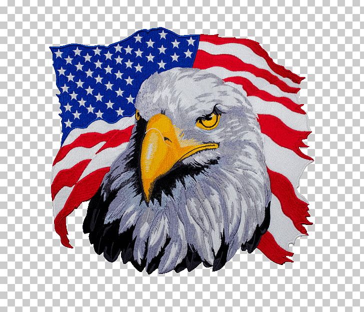 United States T-shirt Bald Eagle Hoodie PNG, Clipart, Accipitriformes, American, American Eagle Outfitters, Bald Eagle, Beak Free PNG Download