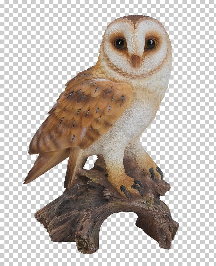 Barn Owl Border Concepts PNG, Clipart, Animal, Animals, Barn Owl, Beak, Bird Free PNG Download