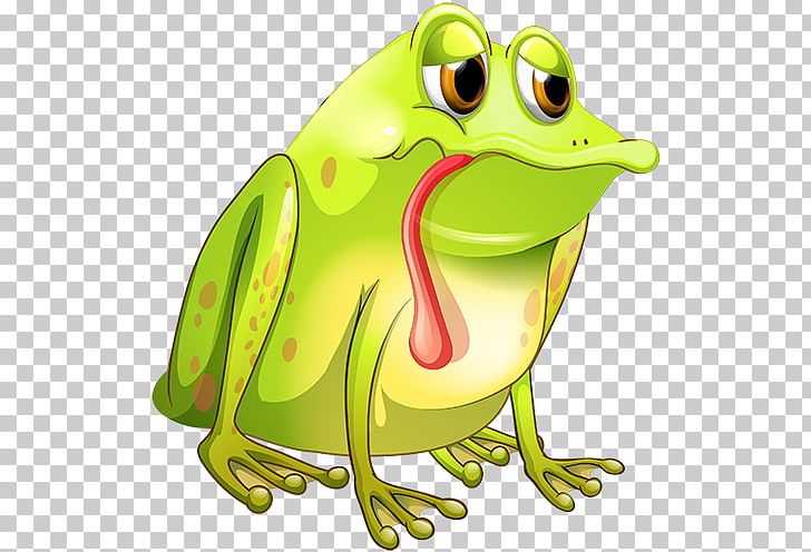 Edible Frog True Frog Graphics PNG, Clipart,  Free PNG Download