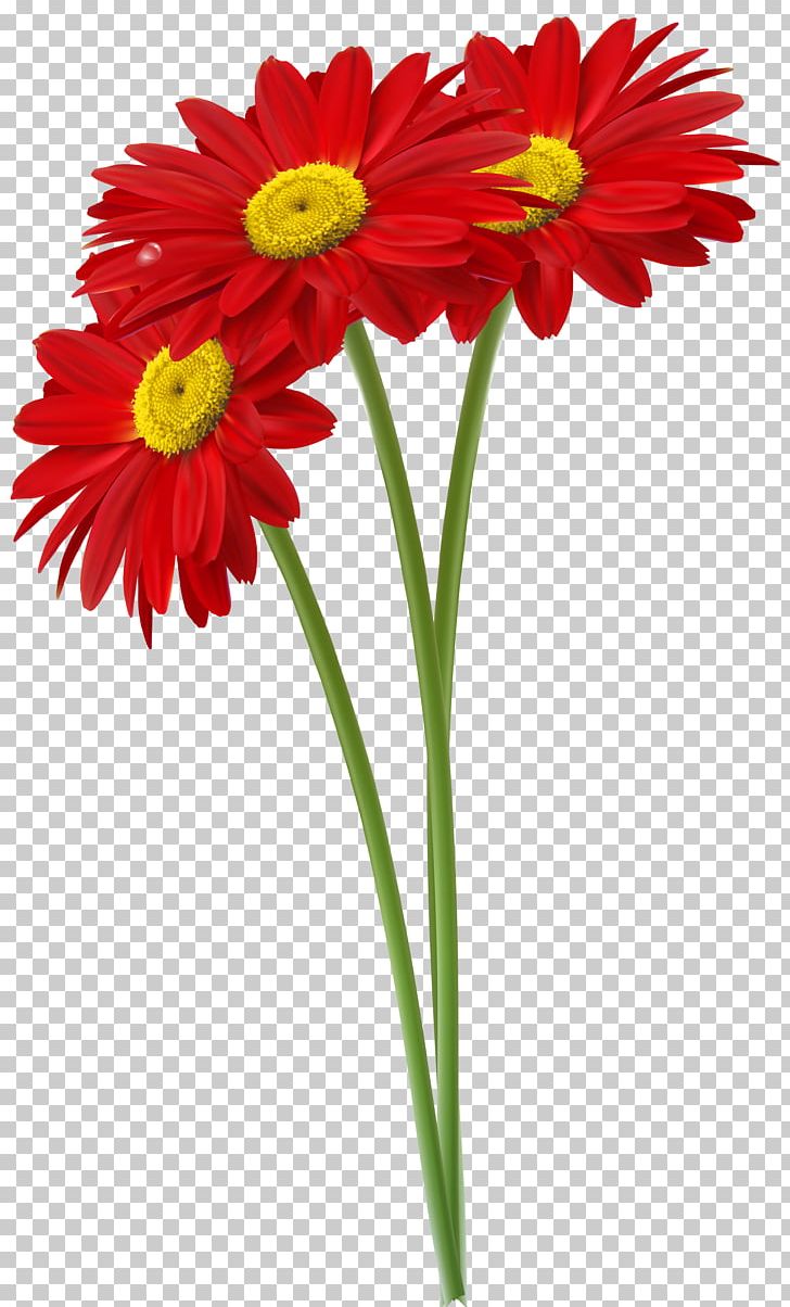 Gerber Format PNG, Clipart, Annual Plant, Chrysanths, Computer Network, Cut Flowers, Daisy Family Free PNG Download