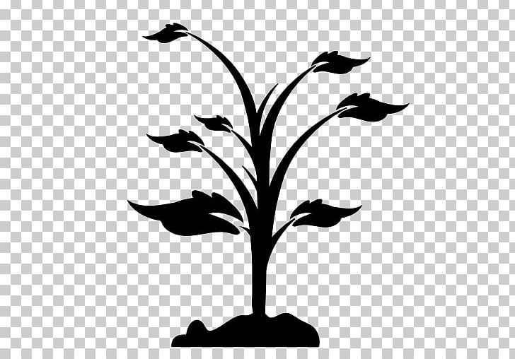 Computer Icons PNG, Clipart, Artwork, Beak, Bird, Black And White, Branch Free PNG Download