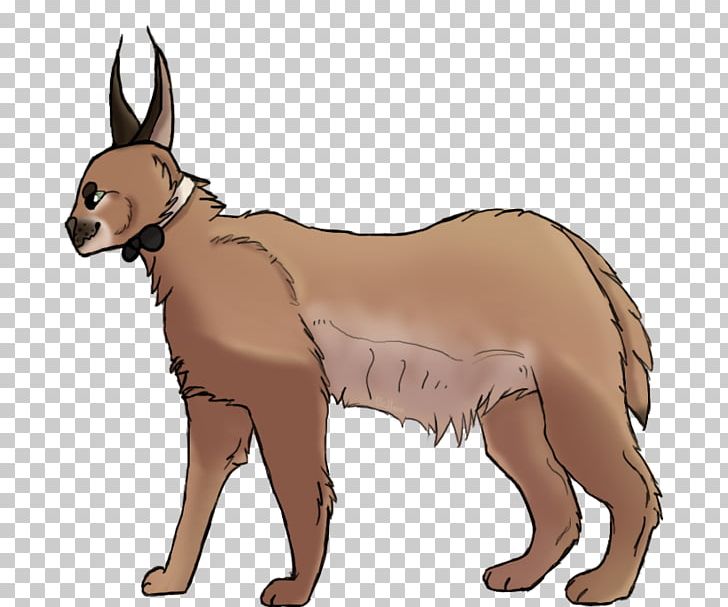 Dog Breed Red Fox Snout PNG, Clipart, Animals, Breed, Carnivoran, Character, Dog Free PNG Download