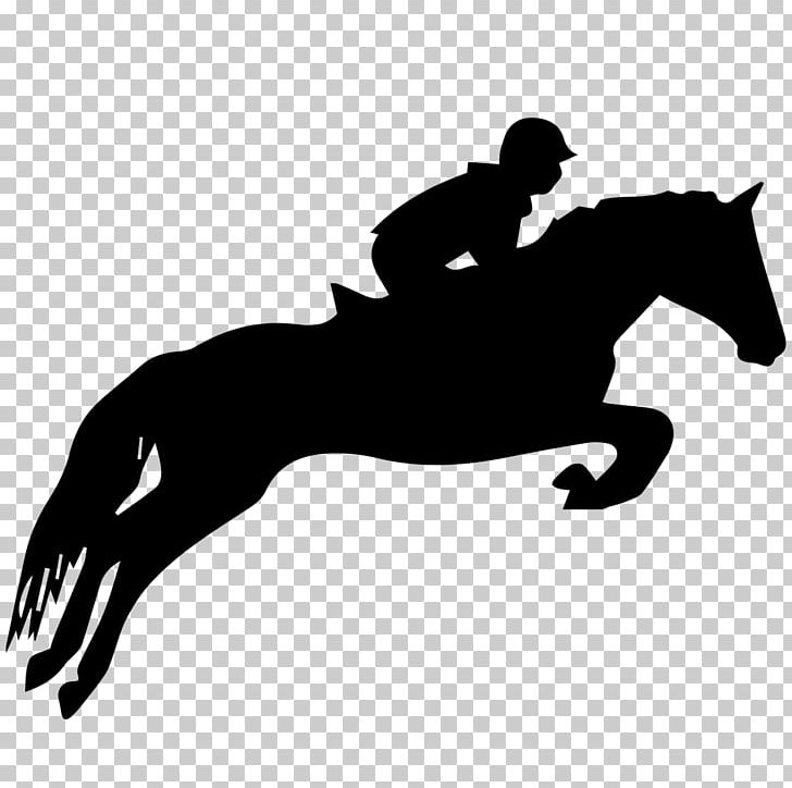 Horse Show Show Jumping Equestrian PNG, Clipart, Animals, Black, Bridle, Crosscountry Equestrianism, Dressage Free PNG Download