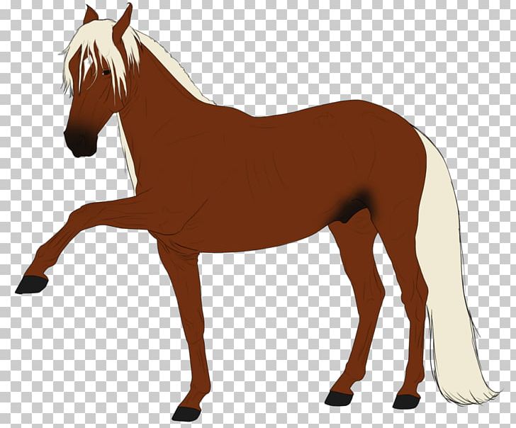 Mule Foal Stallion Mare Colt PNG, Clipart, Animal Figure, Bridle, Colt, English Riding, Equestrian Free PNG Download
