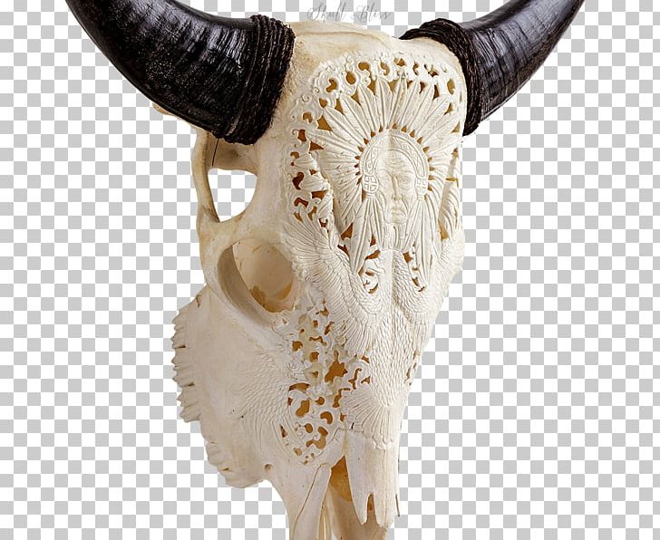 Skull XL Horns Cattle Skeleton PNG, Clipart, American Bison, Americans, Barbed Wire, Bone, Cart Free PNG Download
