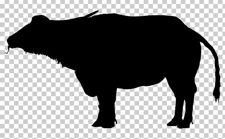 Water Buffalo Bison Silhouette PNG, Clipart, Africa, Animals, Bison, Black, Black And White Free PNG Download