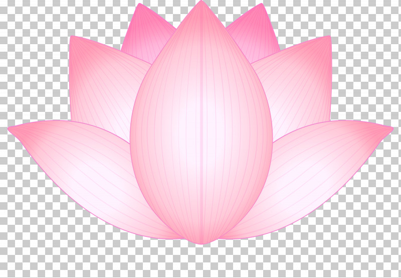 Lotus Flower PNG, Clipart, Aquatic Plant, Flower, Lotus, Lotus Family, Petal Free PNG Download