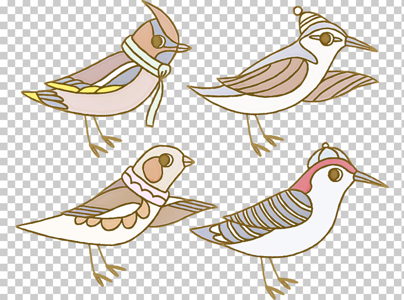 Feather PNG, Clipart, Beak, Bird, Feather, Finch, Perching Bird Free PNG Download