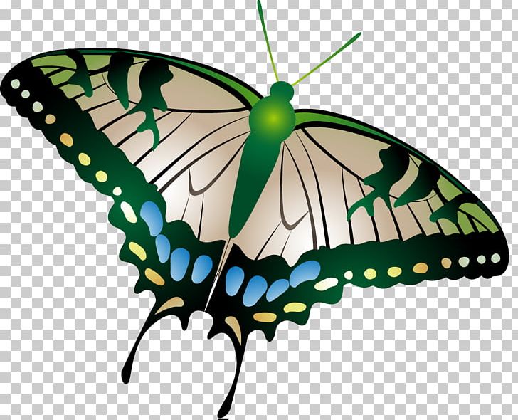 Monarch Butterfly Insect Pollinator Nymphalidae PNG, Clipart, Arthropod, Brush Footed Butterfly, Butterflies And Moths, Butterfly, Insect Free PNG Download
