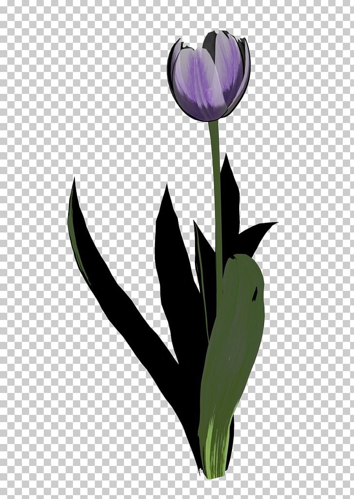 Tulip Graphics Bing PNG, Clipart, Bing, Discover Card, Discover Financial Services, Flower, Flowering Plant Free PNG Download