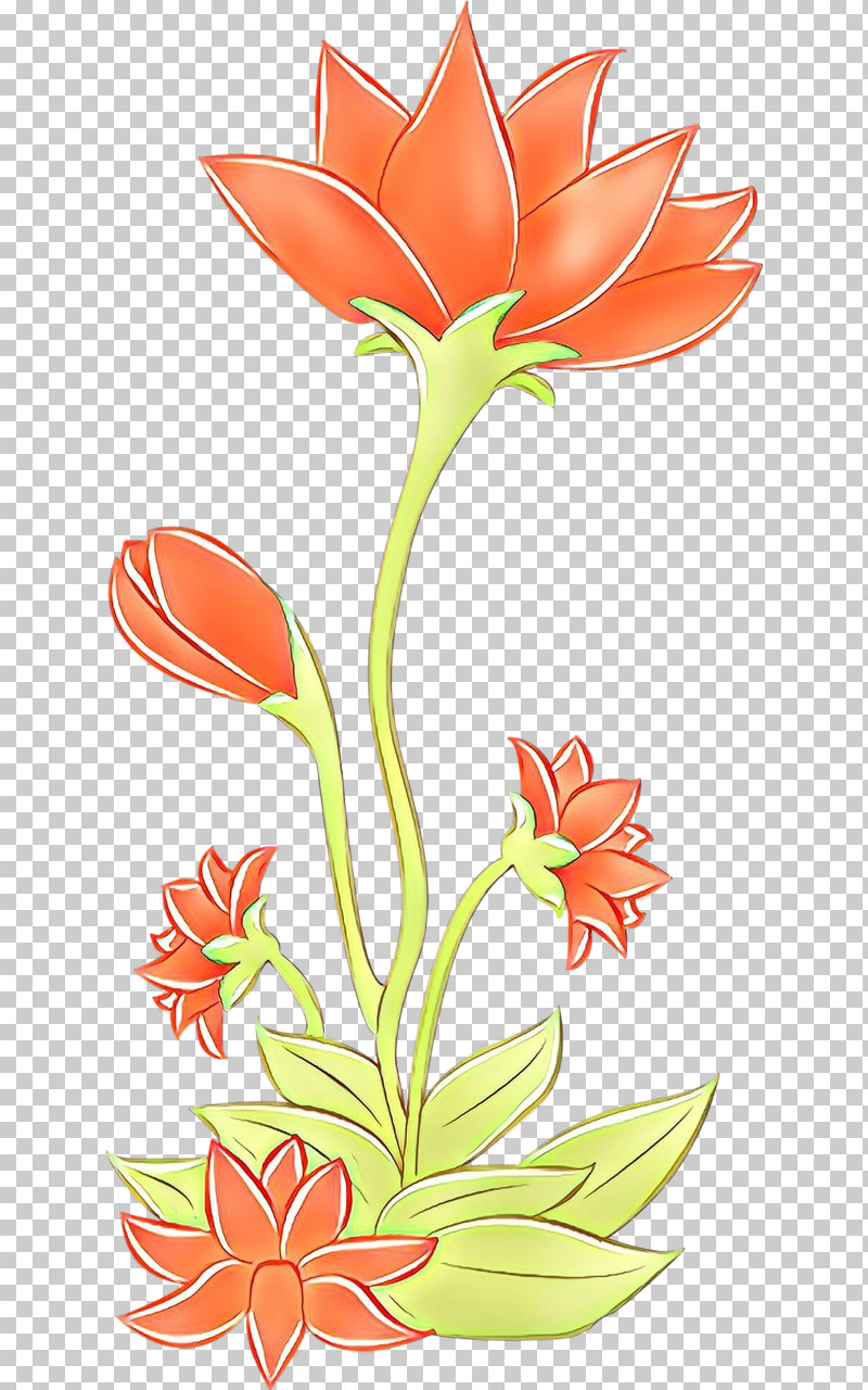 Orange PNG, Clipart, Cut Flowers, Flower, Orange, Pedicel, Plant Free PNG Download