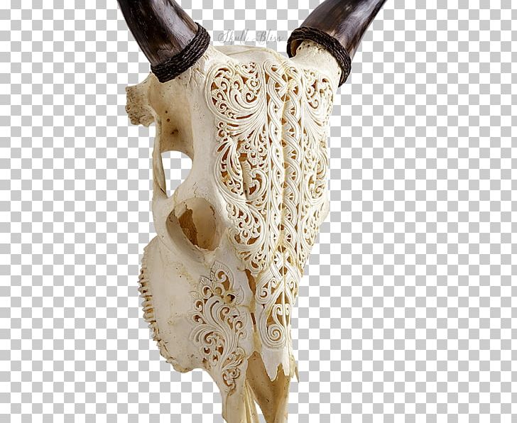 Animal Skulls Horn Head Cattle PNG, Clipart, Animal, Animal Skulls, Balinese People, Bone, Cattle Free PNG Download