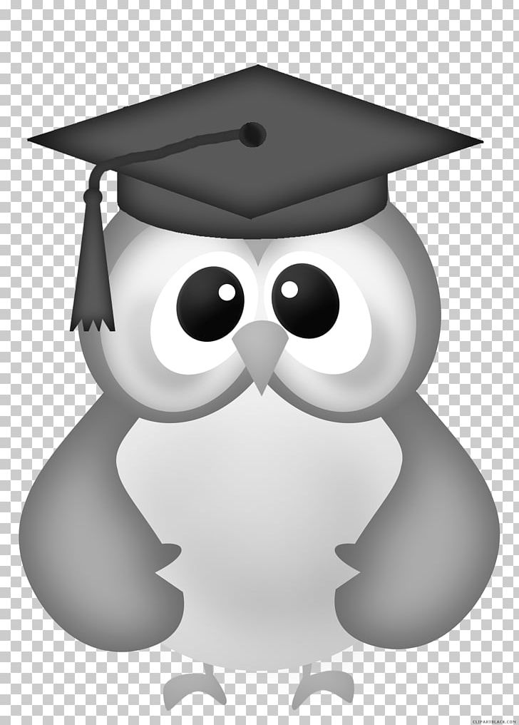 Owl Graduation Ceremony Open Graduate University PNG, Clipart, Animal, Animals, Beak, Bird, Bird Of Prey Free PNG Download