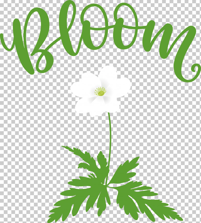 Bloom Spring Flower PNG, Clipart, Bedroom, Bloom, Decal, Flower, Leaf Free PNG Download