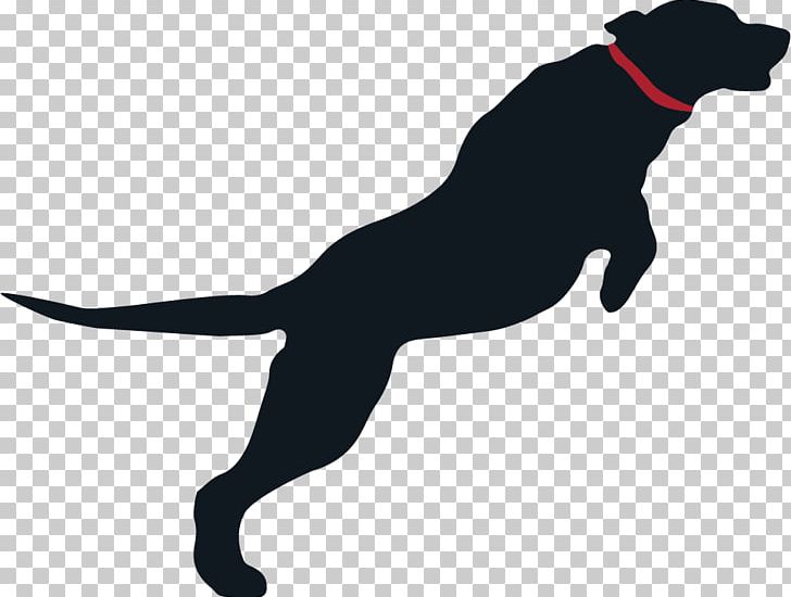 Dog Breed Puppy Sporting Group Leash PNG, Clipart, Animals, Black, Black M, Breed, Carnivoran Free PNG Download