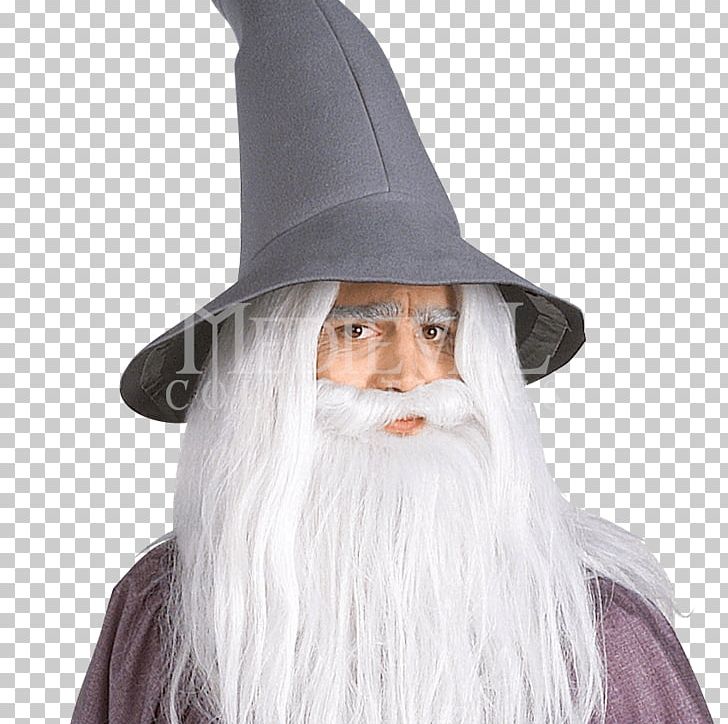 Gandalf The Lord Of The Rings: The Fellowship Of The Ring Arwen Robe PNG, Clipart, Adult, Arwen, Beard, Clothing, Costume Free PNG Download