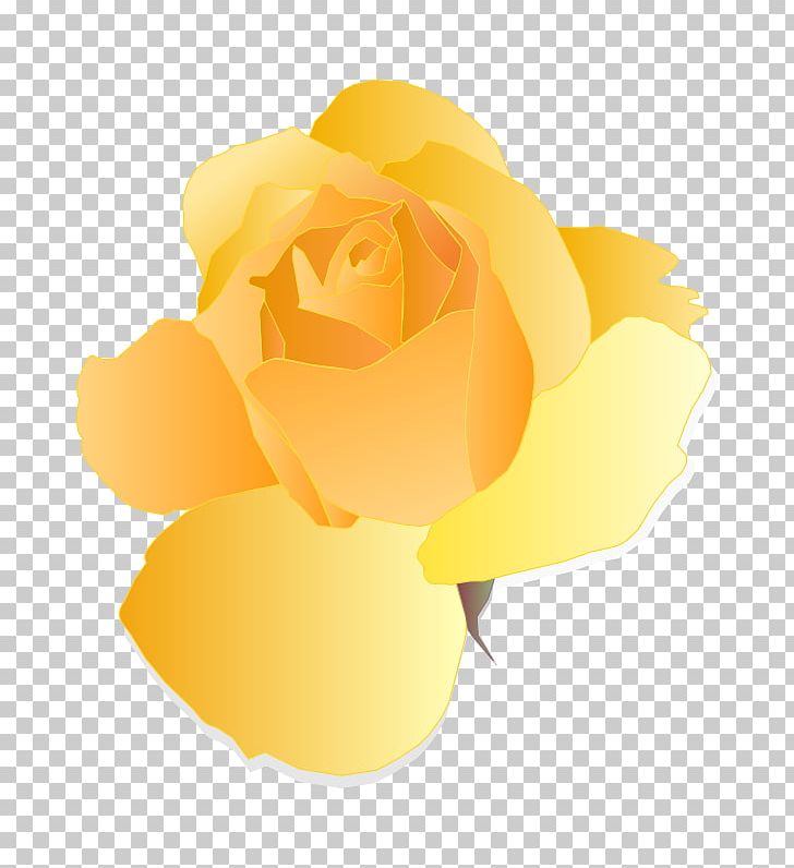 Rose Yellow Eat And Style Flower PNG, Clipart, Computer Icons, Computer Wallpaper, Cut Flowers, Download, Eat And Style Free PNG Download